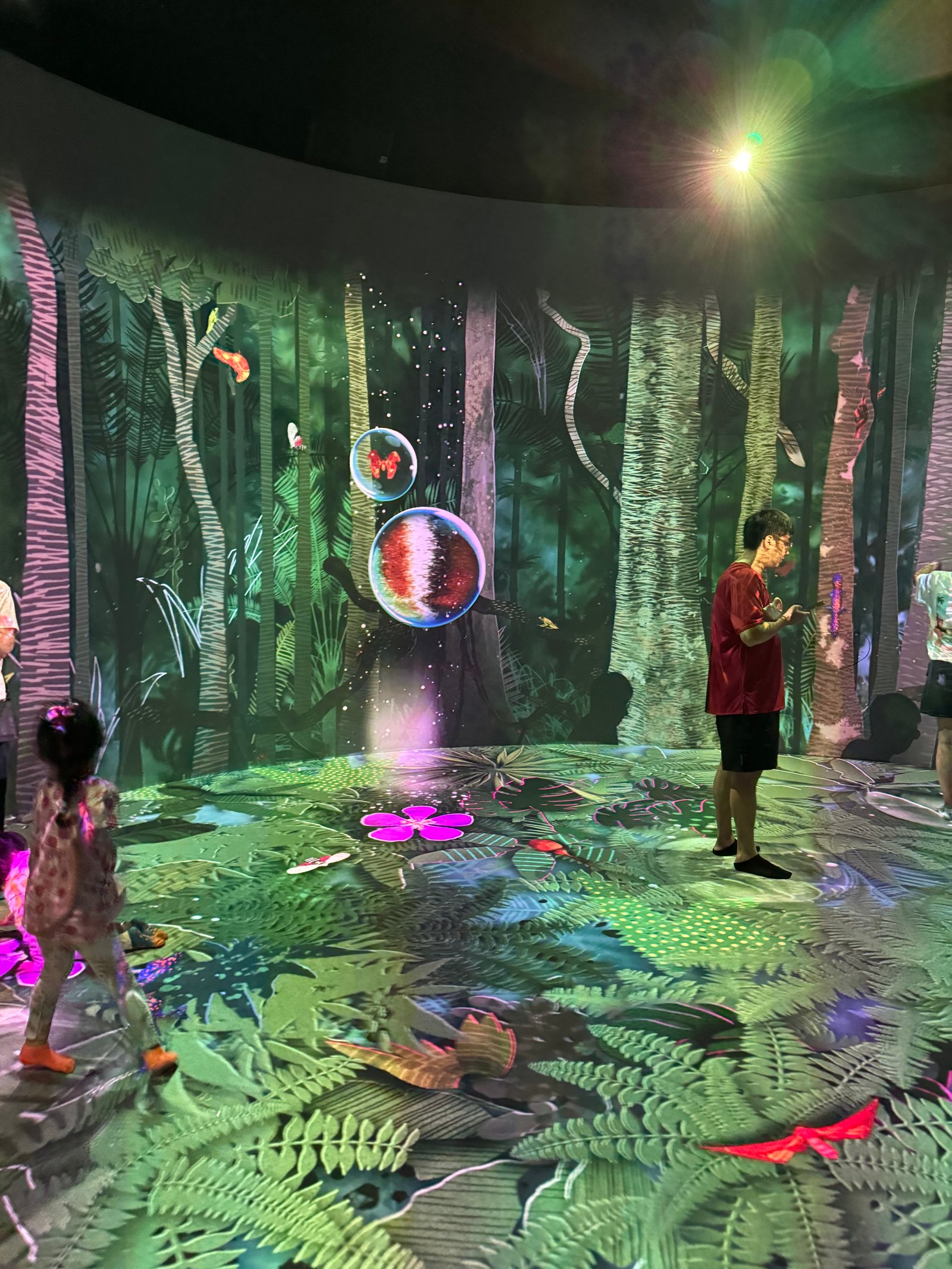 Curiosity Cove at Mandai Wildlife Reserve playground in Singapore